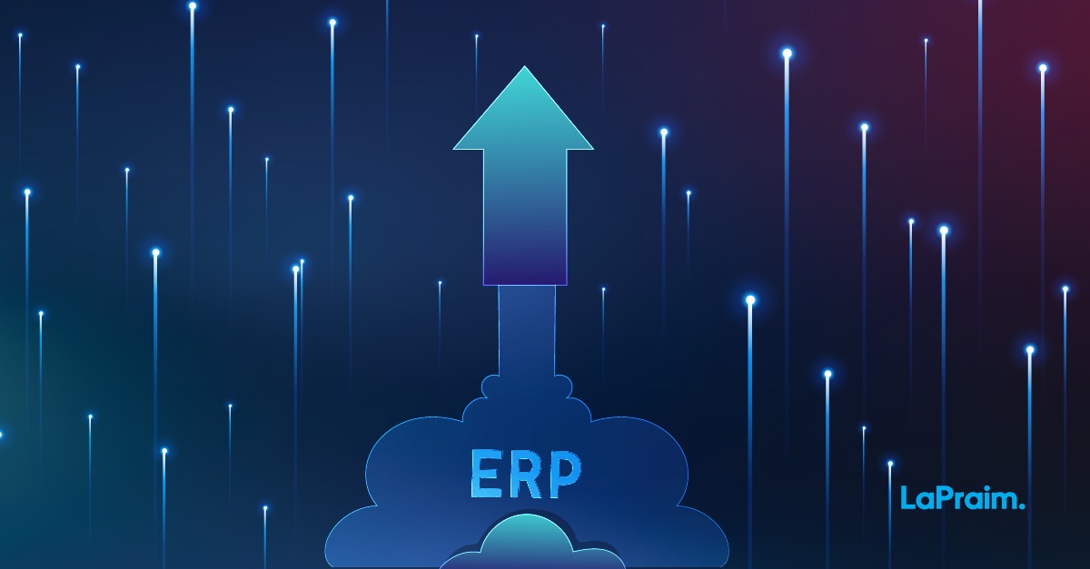 What Are the Advantages of an ERP in Your Organization? | LaPraim Insights