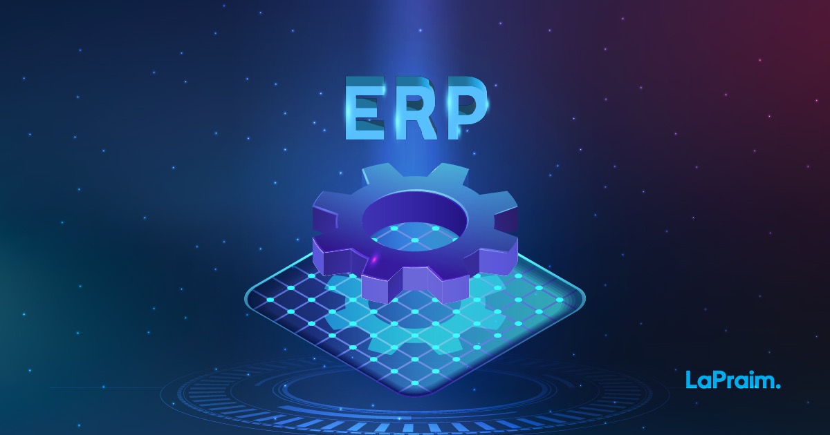 ERP Support & Customization: Essential for Long-Term Success | LaPraim ...