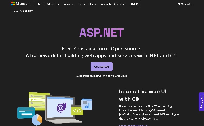 Dotnet website screenshot